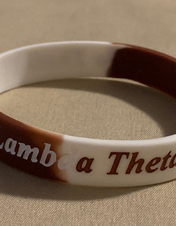 LTP Silicone bracket