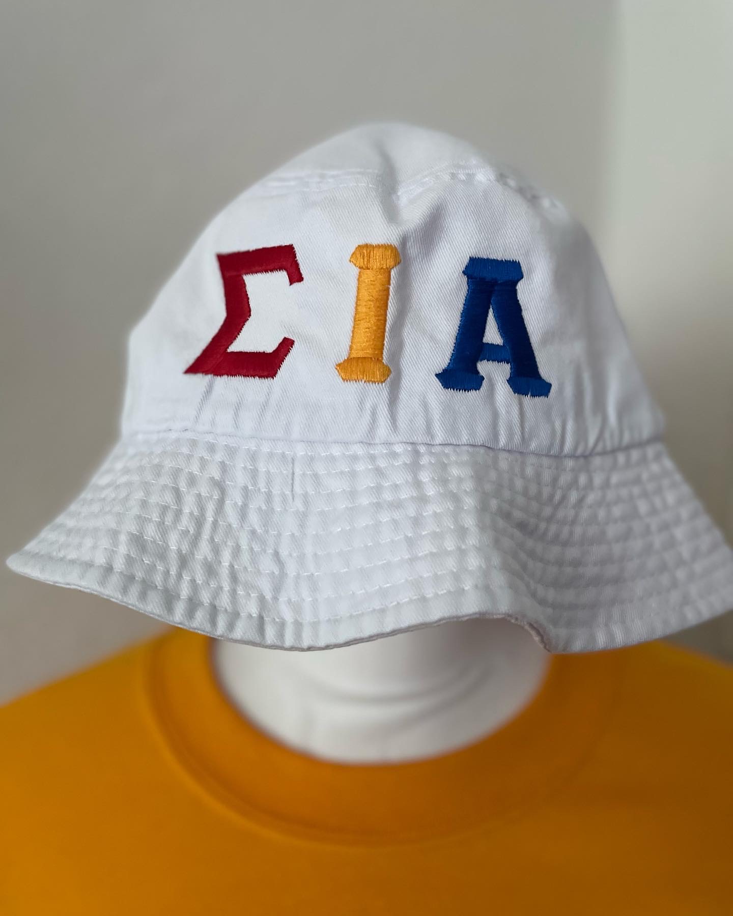 A3E2C285-3D59-4875-8001-38E5BB8B45E7